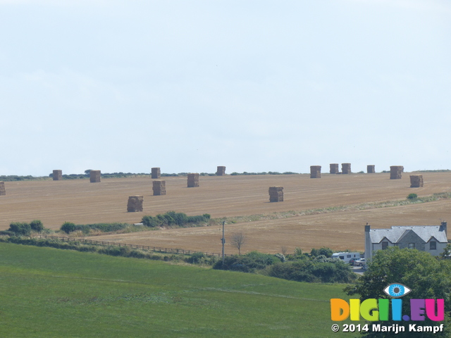 FZ006801 Stacks of hay in field